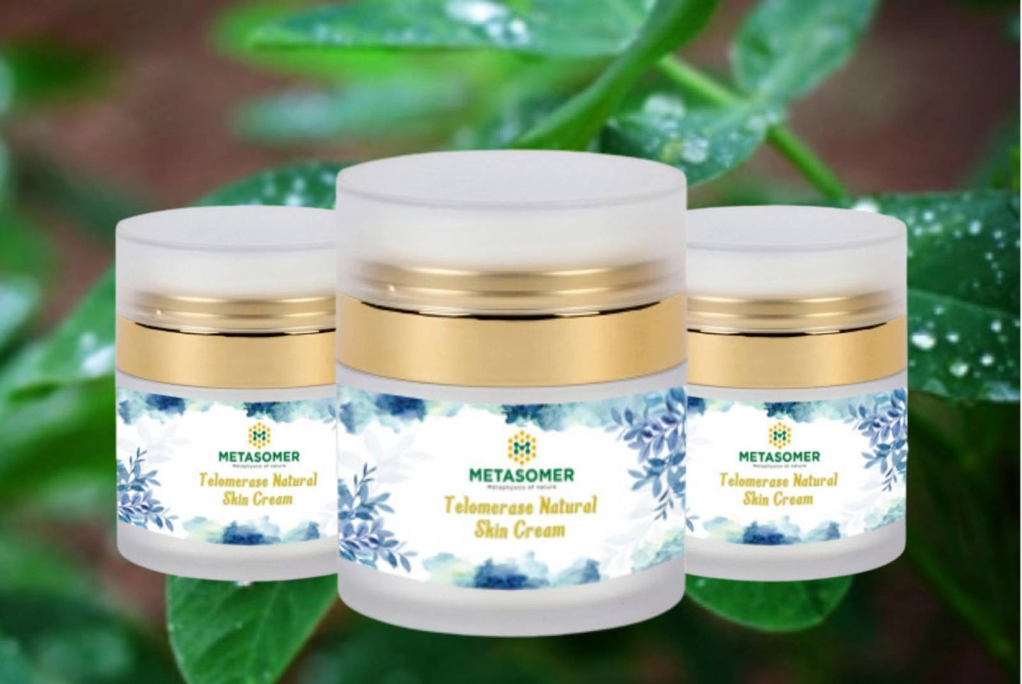 Metasomer Telomerase Natural Skin Cream - 6 bottles