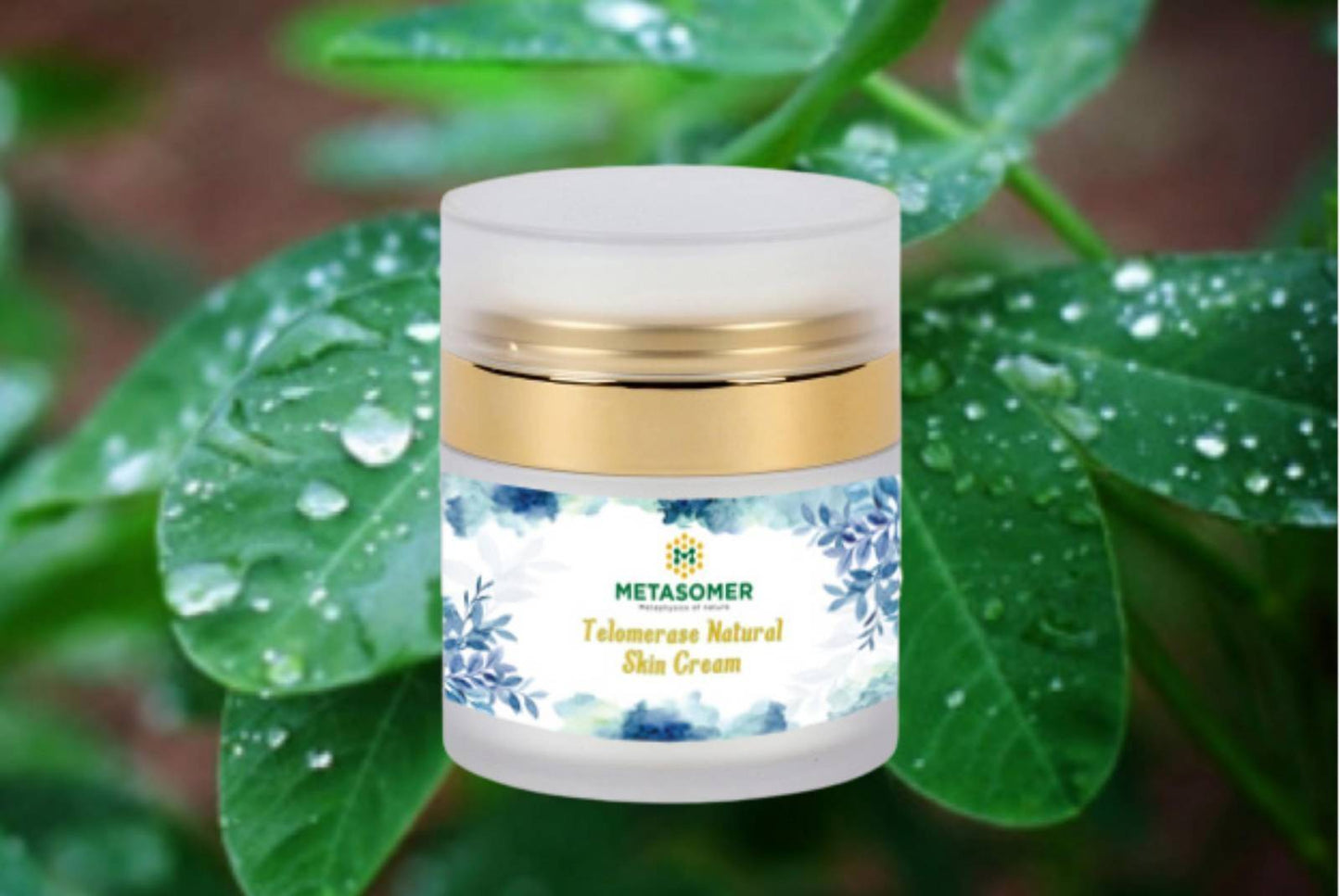 Metasomer Telomerase Natural Skin Cream
