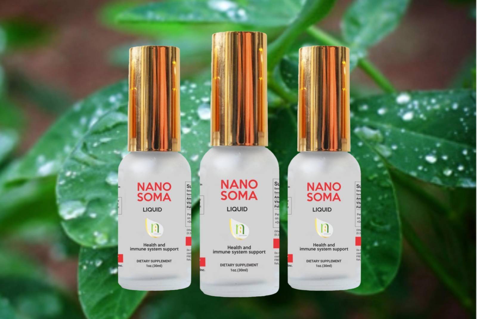 NANO SOMA Nutritional Liquid Supplement - 3 bottles – shop