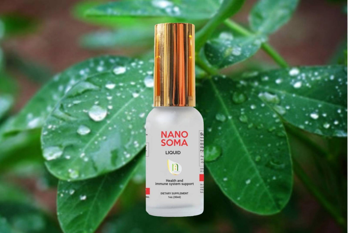 NANO SOMA Nutritional Liquid Supplement